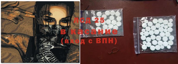 крисы Бородино