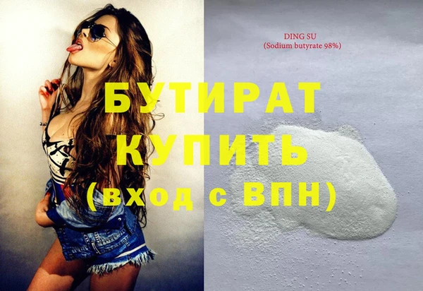 крисы Бородино