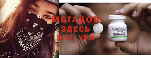 крисы Бородино