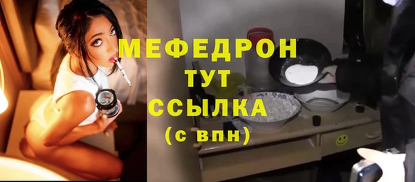 крисы Бородино