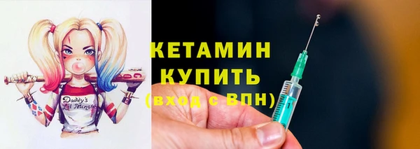 крисы Бородино