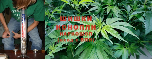 сатива Бугульма
