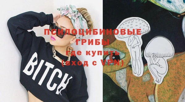 сатива Бугульма