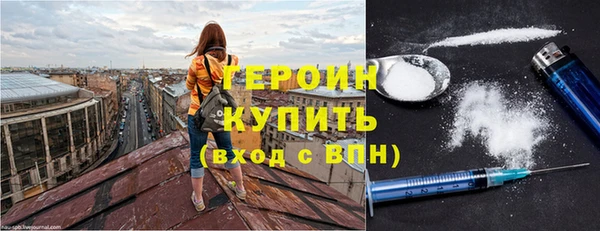 крисы Бородино