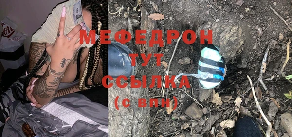 крисы Бородино