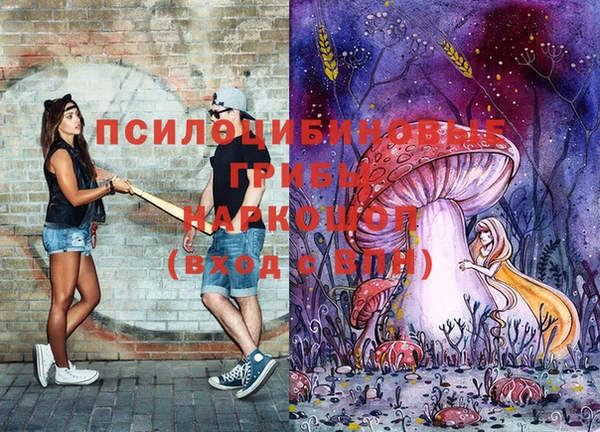 хмурый Бронницы