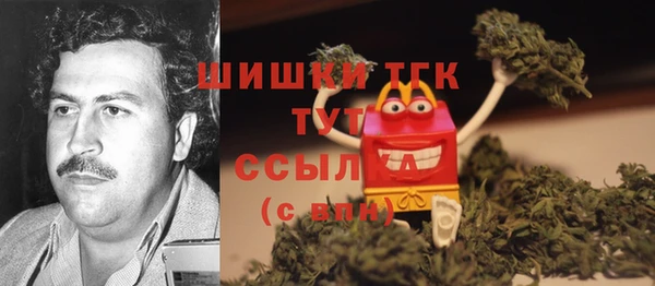 сатива Бугульма